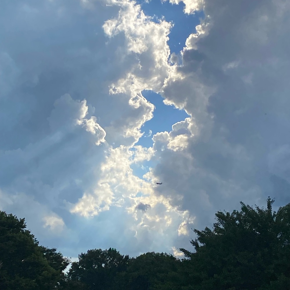 Meet your Posher, India